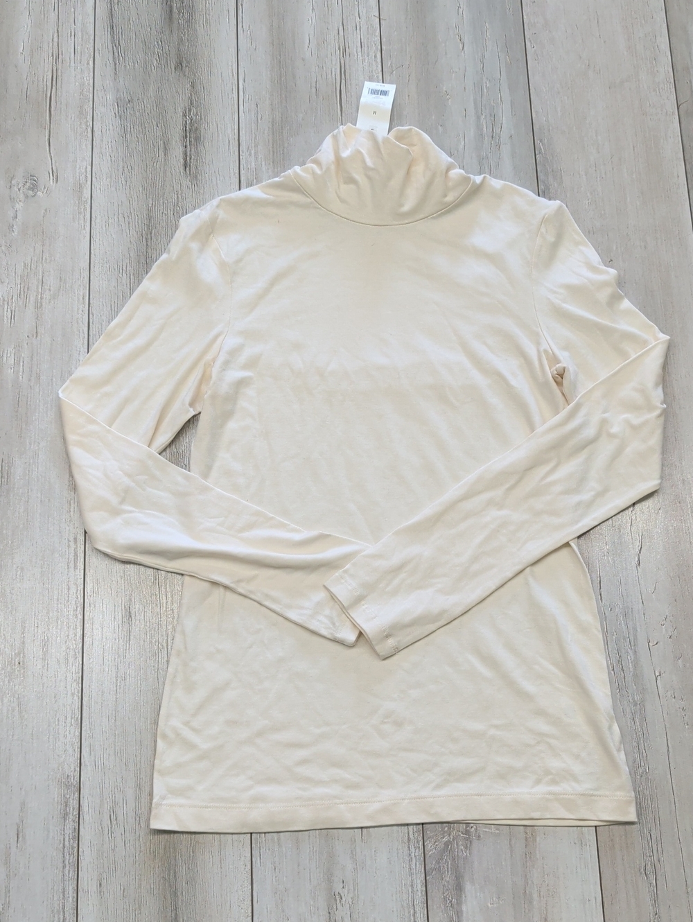 Anna Cream Stretch Turtleneck Top
